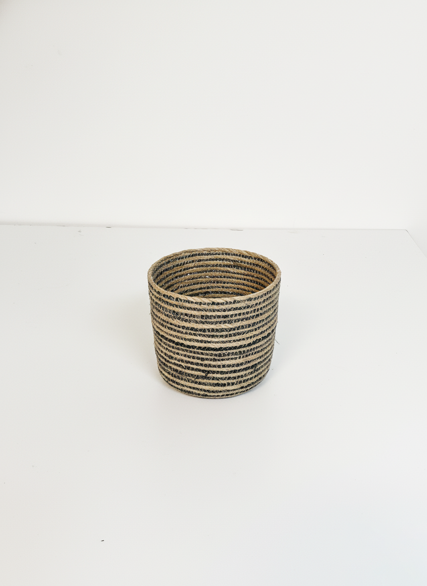 Planter 6.png